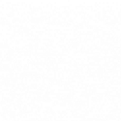 WC Circle Logo 2 animated LONG